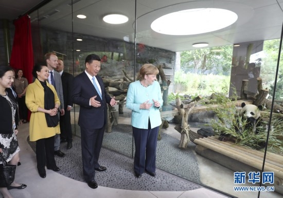 7月5日，国家主席习近平同德国总理默克尔共同出席柏林动物园大熊猫馆开馆仪式。这是习近平和夫人彭丽媛同默克尔在大熊猫馆。 新华社记者马占成 摄 