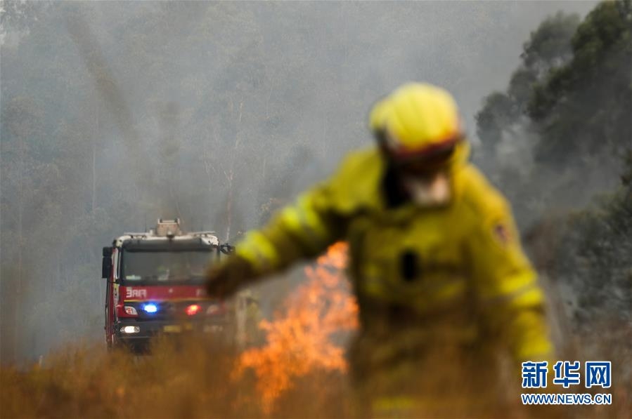 （国际·图文互动）（3）综述：澳大利亚林火肆虐　将设新机构救灾