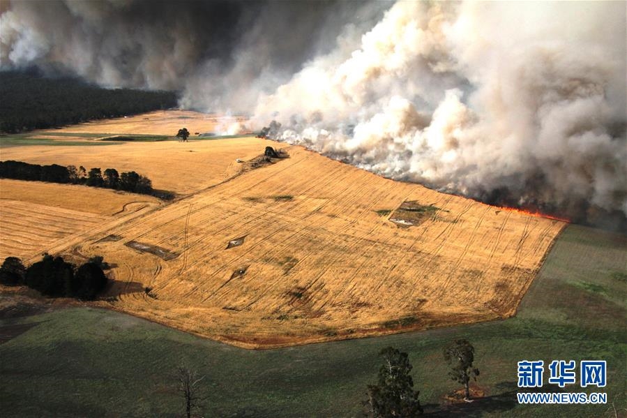 （国际·图文互动）（6）综述：澳大利亚林火肆虐　将设新机构救灾