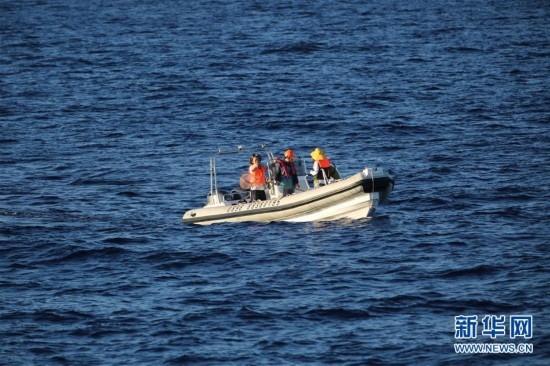 （环境）（10）我国科研人员在南海记录到抹香鲸等11个鲸类物种